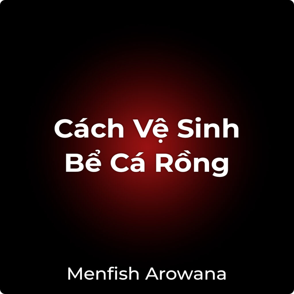ve-sinh-be-ca-rong-4